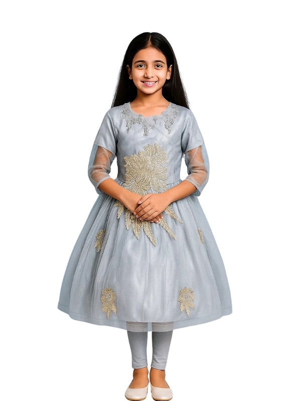 Girl wearing a gray embroidered dress on a white background