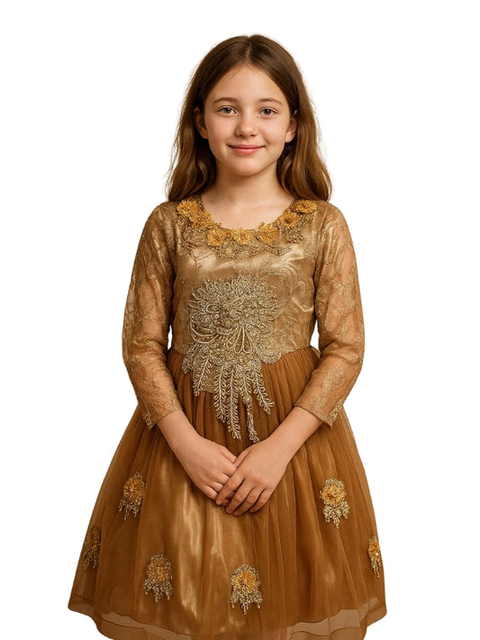 Young girl wearing a brown embroidered dress on a white background